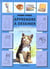 Apprendre a dessiner les animaux familiers
