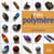 Pâte polymère - 1001 effets de matières pour créer  des perles