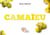 Camaïeu de jaune