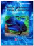 Betta Splendens