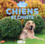 Cache-cache dans la nature : Chiens et chiots