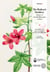 The Redouté brothers: Masters of scientific illustration in Paris