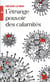 L'étrange pouvoir des calamités