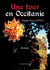 Une tour en occitanie