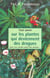 Tout savoir sur les plantes qui deviennent des drogues : pavot, coca, cannabis, peyotl, khat...