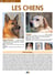 Les chiens