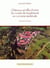 Châteaux et villes fortes du comté de Vaudemont en Lorraine médiévale