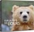 Sur la piste de l'ours
