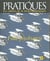 Pratiques n10 - folle psychiatrie