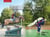 Équitation et judo - les transferts d'apprentissage