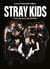 Stray Kids : Une vie sous les étoiles