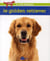 Le golden retriever