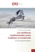 Les chefferies traditionnelles entre tradition et modernite : Le cas du royaume Bamoun