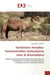 Variations morpho-fonctionnelles testiculaires chez le dromadaire : Analyse morpho-fonctionnelle des testicules du dromadaire (Camelus dromedarius)