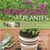 Reproduire ses plantes - du bouturage à la greffe