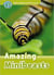 Oxford read and discover 3: amazing minibeasts