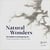 Natural wonders - the sublime in contemporary art