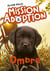 Mission adoption Tome 3 : Ombre