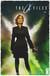 The x-files - les nouvelles affaires non classees t.3