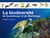 La biodiversité de Guadeloupe et de Martinique - expliquée aux jeunes