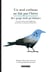 Un seul corbeau ne fait pas l'hiver - cent proverbes turks millénaires
