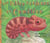 Les folles couleurs du cameleon