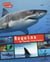 Requins - un monde fascinant