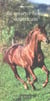 Le quarter horse américain, cheval unique et multiple