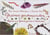 Graines gourmandes - légumes secs, graines germées et aromates
