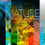 Nature au fil des saisons