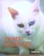 Chats insolites