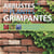 Arbustes et plantes grimpantes - les meilleures plantes pour balcons et jardins