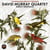 Birdly Serenade
