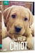 Une vie de chiot