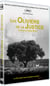 Les Oliviers de la justice