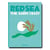 Red sea : the Saudi coast
