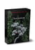Twilight Tome 1 : Fascination