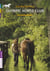 Olympic Horse Club Tome 3 - Un Cheval Menacé