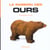 La passion des ours