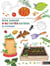 Mon cahier d'activités nature - Le potager