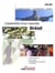 Brésil - l'essentiel d'un marché (édition 2008-2009)