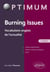 Burning Issues : Vocabulaire anglais de l'actualité
