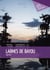 Larmes de bayou