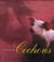 PORTRAIT DES COCHONS