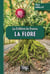 Le folklore de France : la flore