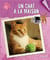 Un Chat A La Maison
