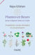 Plantes et fleurs pour soigner âme et corps : propriétés, mode d'emploi et cas pratiques