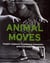 Animal moves - acquérir souplesse et puissance musculaire en adoptant la locomotion animale
