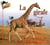 La girafe
