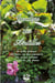 Jardins des antilles - un guide pratique des fleurs les plus populaires des jardins antillais